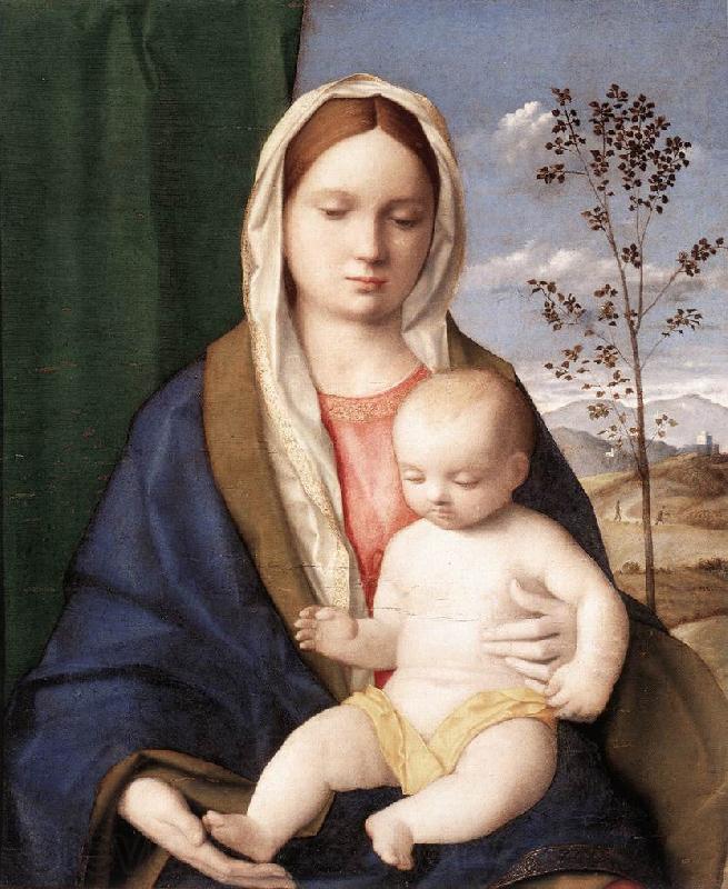 BELLINI, Giovanni Madonna and Child mmmnh Spain oil painting art